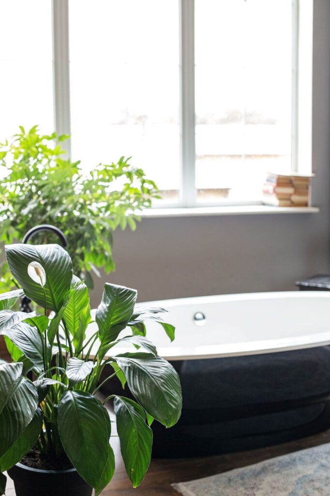 Fresh Bathroom Remodeling Ideas to Inspire You 4 Bathroom Remodeling Ideas